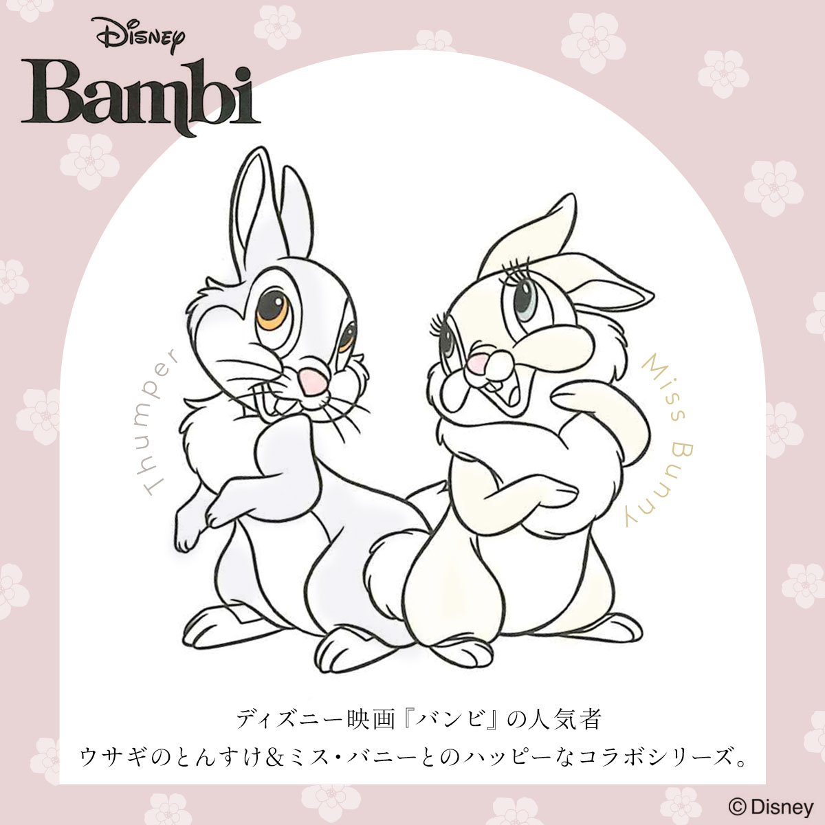 スナイデルホーム SNIDEL HOME 【ユニセックス】【Bambi】ミス