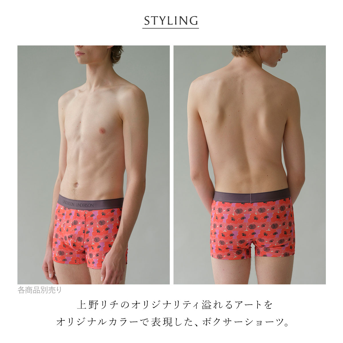 アンダーソンアンダーソン L.Rix Fantasy上野リチ×UNDERSON