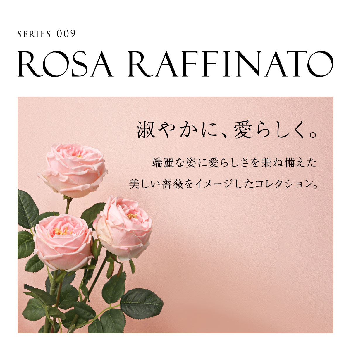 【あかネココ(プロフ必読‼︎)】シビラ　カラダス　リブレ　色々 HIMICO 端麗で愛らしい Rosa Raffinato ブラジャー BCDEF