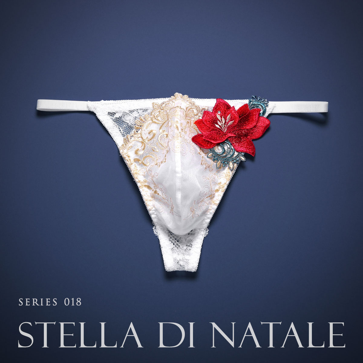 HIMICO★Stella di Natale★レースTバック★メンズ　M 白 HIMICO 煌びやかな幸福に満ち溢れる Stella di Natale Tバック