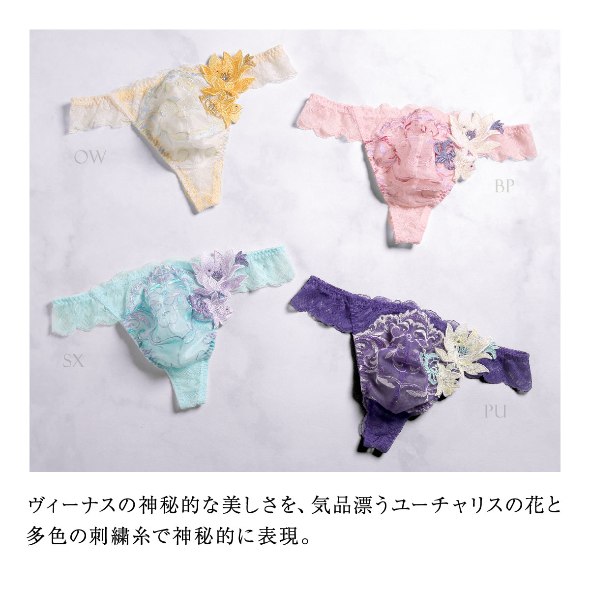 ヒミコ024シリーズ Tバックレース メンズ Lサイズ　サルート好きな方にも ヒミコ024シリーズ Tバックレース メンズ Lサイズ サルート好き
