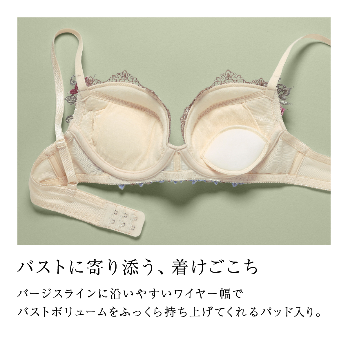 プラ製愛称板「しなの」 ヒミコ 029シリーズ ブラジャー 大きいサイズ アンダー80