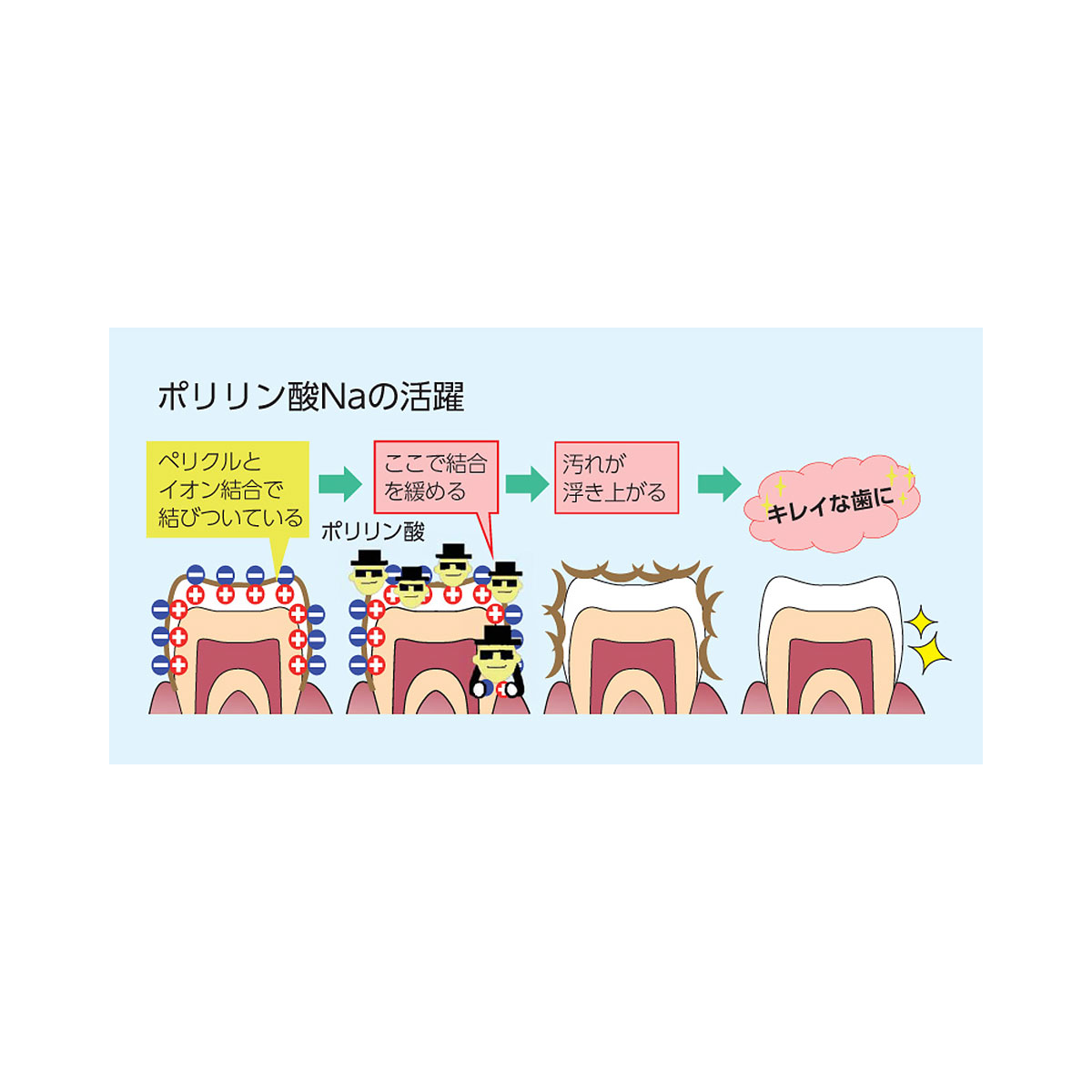 ※歯のホワイトニング shi Labo※ トゥースラボホワイトニング 100g 歯磨き粉 歯科医院専売品 医薬